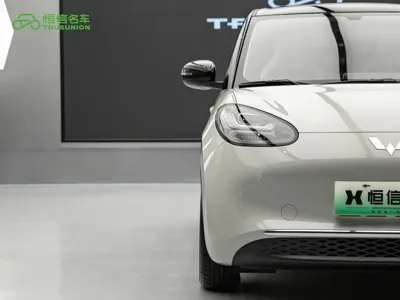 Wuling Bingo