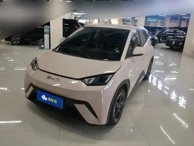 BYD Seagull