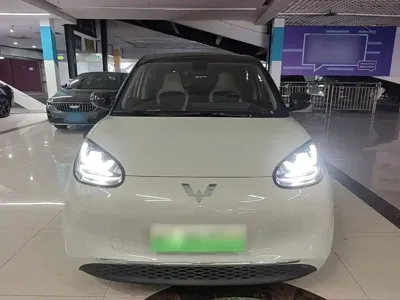 Wuling Bingo