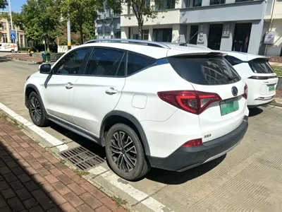 BYD New Energy