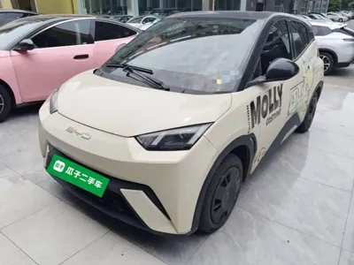BYD Seagull