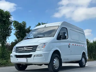 Maxus V80