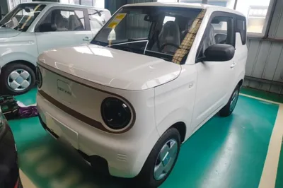 Geely Galaxy Panda
