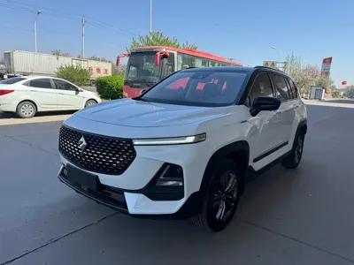 Baojun RS-5