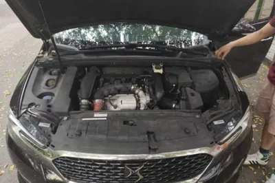 DS 5LS