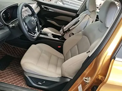 Geely Binrui