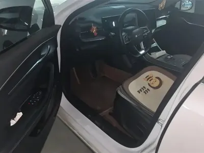 BYD Destroyer 05