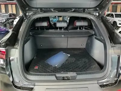 BYD PLUS