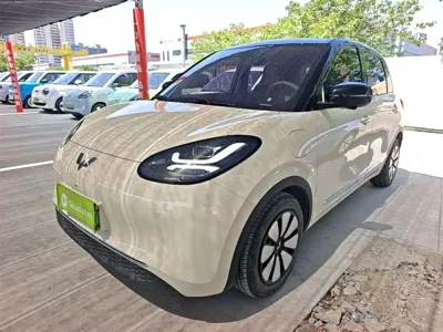 Wuling Bingo