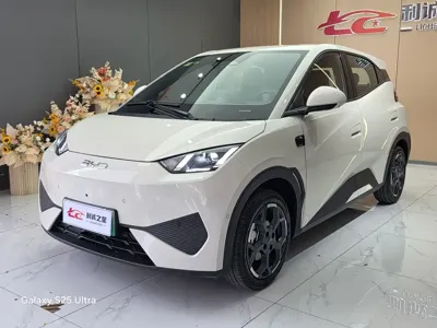 BYD Seagull