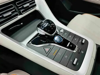 BYD Pro New Energy
