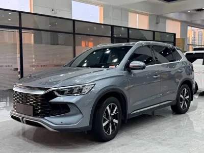 BYD Pro New Energy