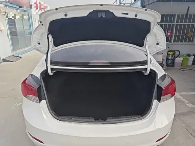 Hyundai Elantra Langdong