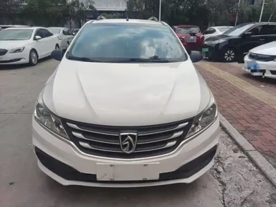 Baojun 310