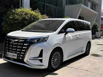 Denza Denza D9