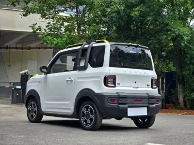 Galaxy Panda
