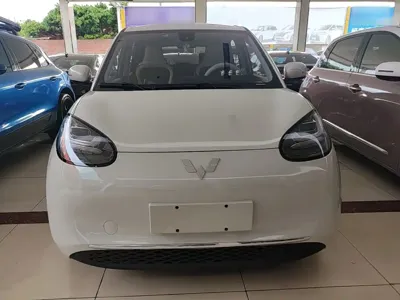 Wuling Bingo