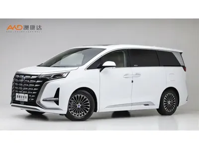 Denza Denza D9