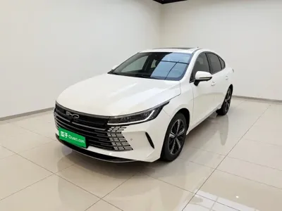 BYD Destroyer 05