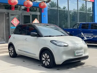 Wuling Bingo