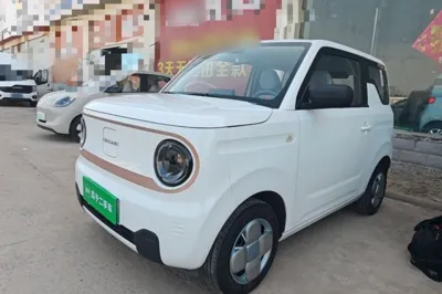 Geely Galaxy Panda