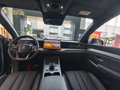 BYD Pro New Energy