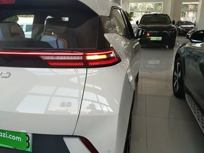 BYD Seagull