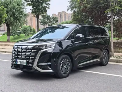 Denza Denza D9