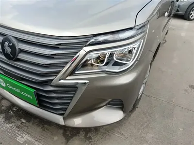 Fengxing Lingzhi