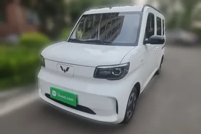 Wuling Zhiguang New Energy