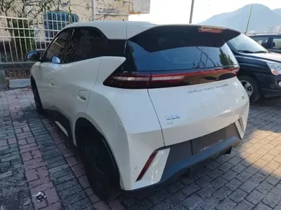 BYD Seagull