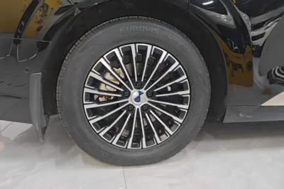 Denza D9