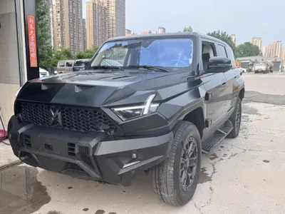 Mengshi Mengshi 917