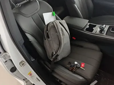 BYD Pro New Energy
