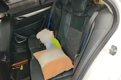 Geely Auto Emgrand