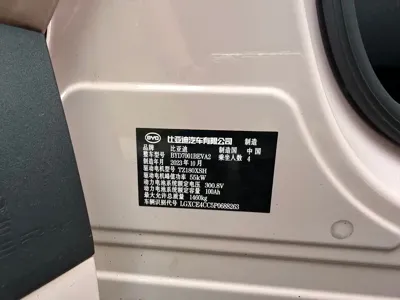 BYD Seagull