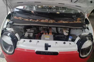 CHANGAN NEVO Lumin