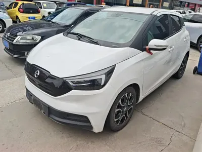 JMEV EV3