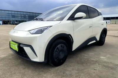BYD Seagull