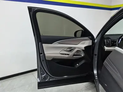 BYD Pro New Energy