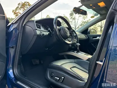Audi A5 (Import)