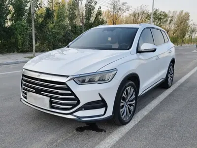 BYD Pro New Energy