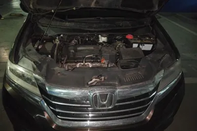Honda Elysion