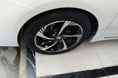 MG 6