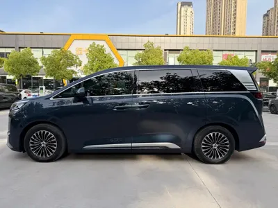 Denza Denza D9