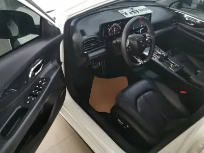 GAC Motor Shadow Leopard