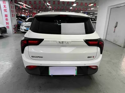 NETA Neta V