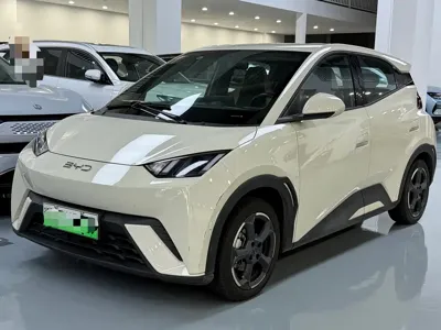 BYD Seagull