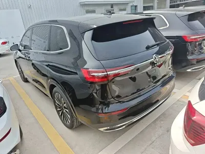 Volkswagen Viloran