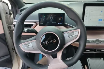 BYD Seagull